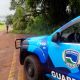 Guarda Civil registra queda de 02 rvores em rodovia