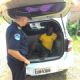 Guarda Civil prende procurado pela justia no Bairro Rural de Anhumas