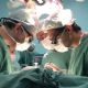 Cirurgia Cardaca da FMB/Unesp  premiada
pela terceira vez consecutiva