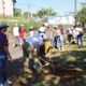 Recanto Azul recebe projeto piloto de arborizao urbana