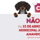 Copanheiro: 
Parque Municipal recebe evento PET, neste domingo