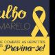 Botucatu realiza campanha Julho Amarelo contra a Hepatite C