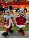 Turma do Mickey e Papai Noel abrem programao de Natal no Shopping Park