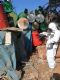 Vigilncia Ambiental em Sade intensifica aes de combate ao mosquito Aedes aegypti
