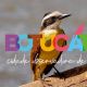Botucatu aposta na observao de aves como novo atrativo para o turismo