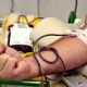 Hemocentro do HCFMB necessita de doações de sangue