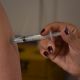 Botucatu intensificar vacinao contra a Febre Amarela